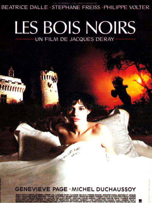 Les bois noirs poster