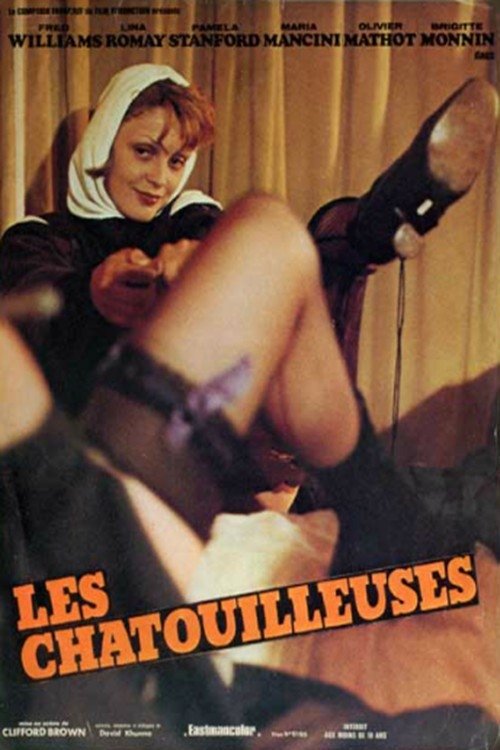 The Ticklers poster
