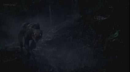 The Hounds of Baskerville poster