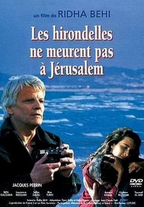 Les hirondelles ne meurent pas à Jerusalem poster