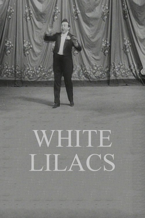 Lilas blanc poster