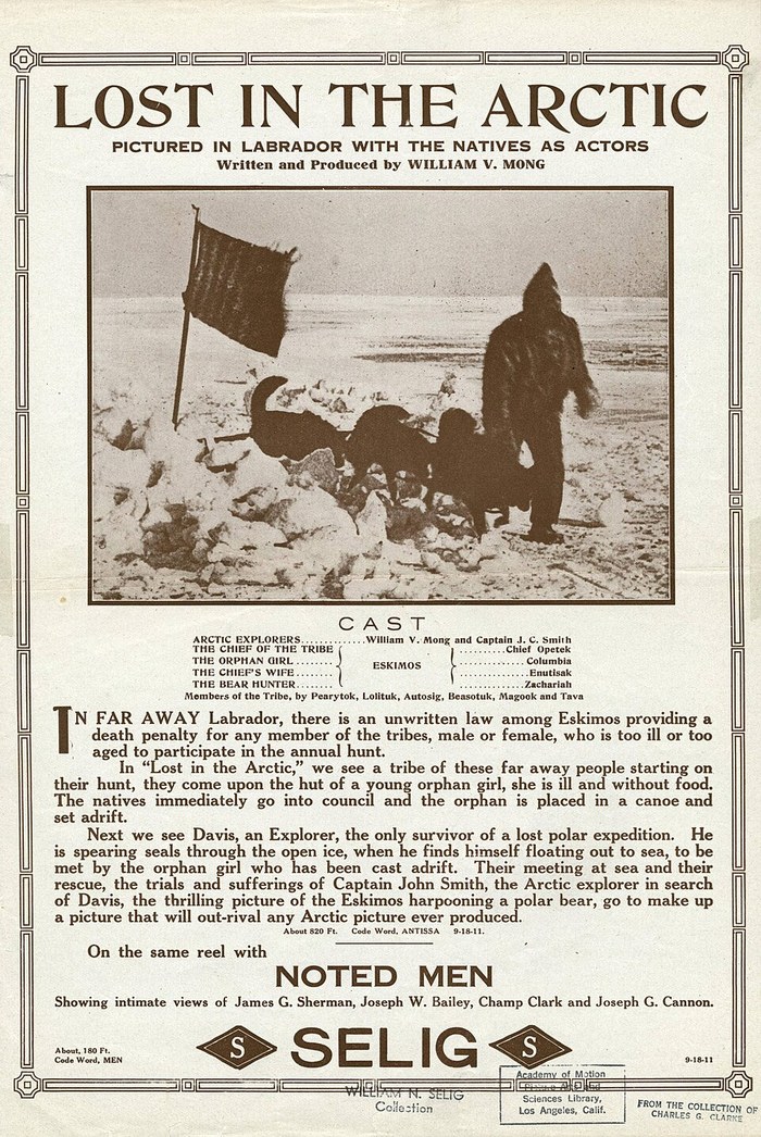 Lost in the Arctic poster
