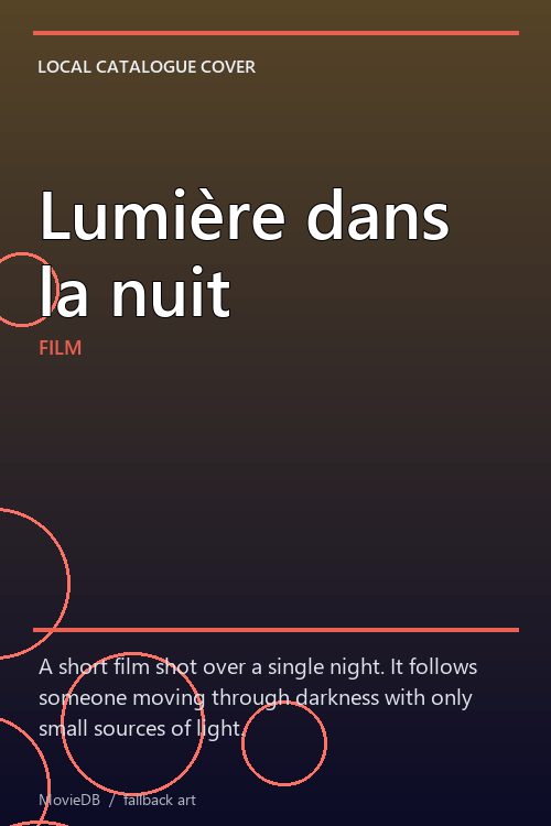 Lumière dans la nuit poster