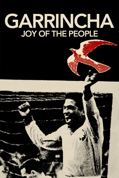 Garrincha: Hero of the Jungle poster
