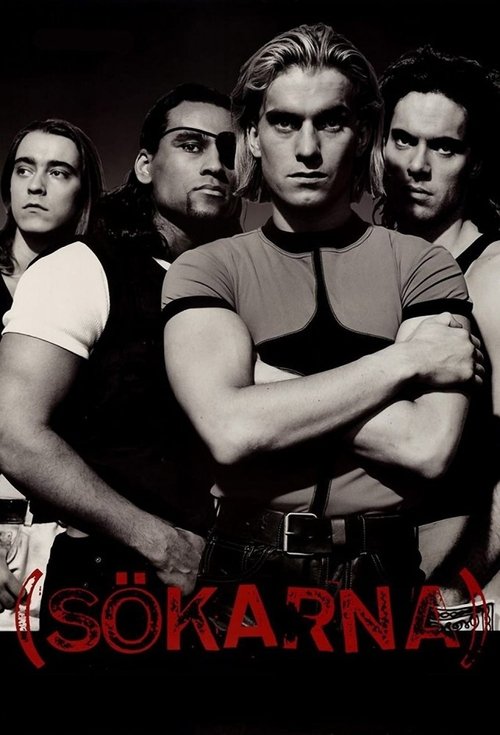 Sökarna poster
