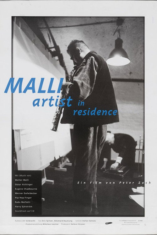 Malli – Artist in Residence poster