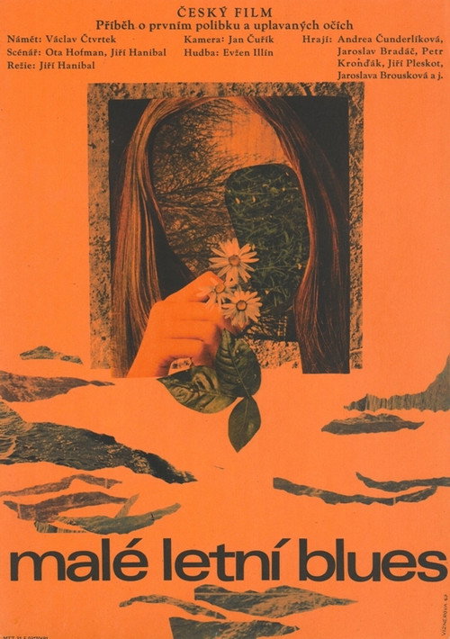 Malé letní blues poster