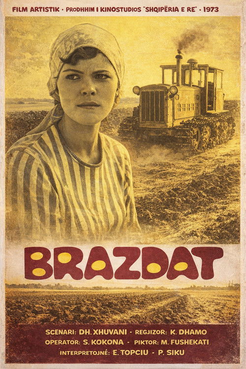 Brazdat poster