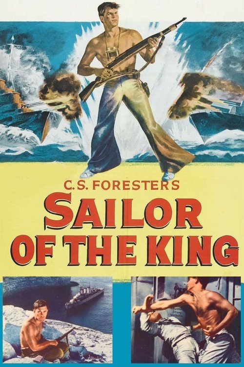 Single-Handed poster