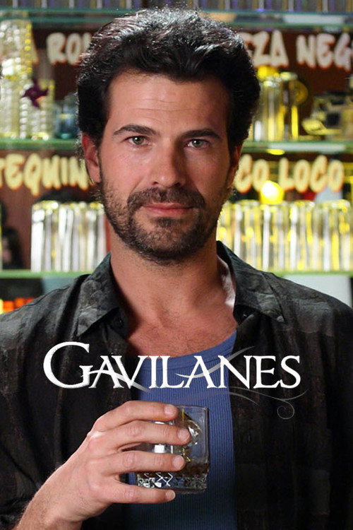 Gavilanes poster