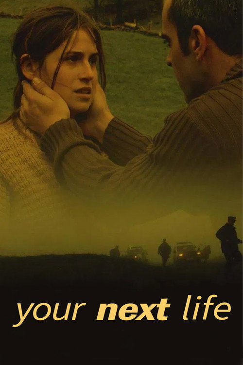 Your Next Life poster