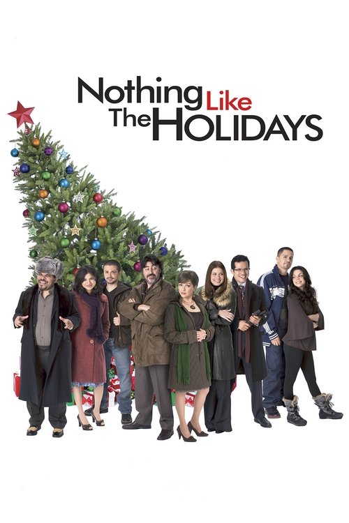 Nothing like the Holidays poster