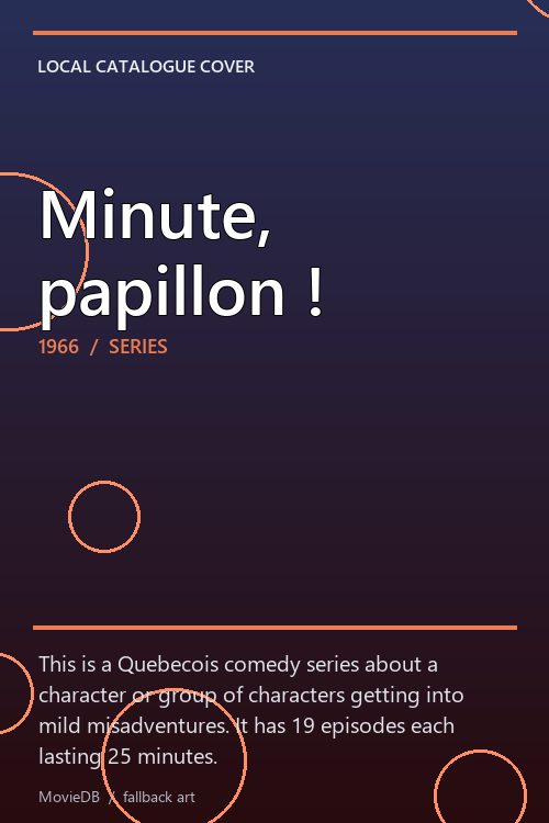 Minute, papillon ! poster