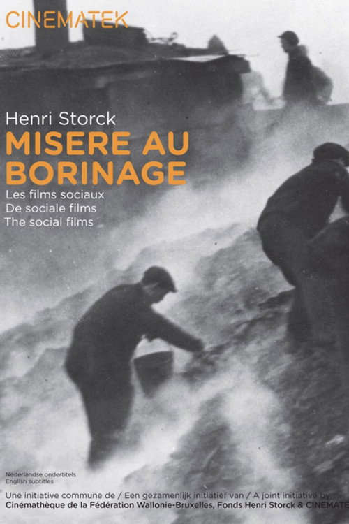 Misère au Borinage poster