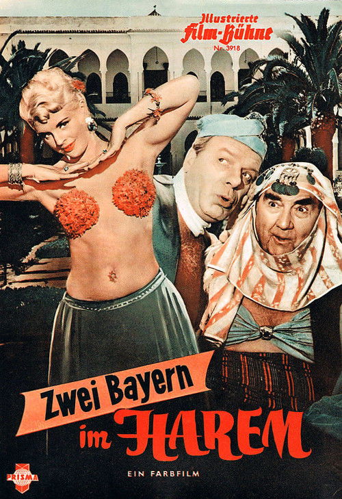 Two Bavarians in the Harem poster