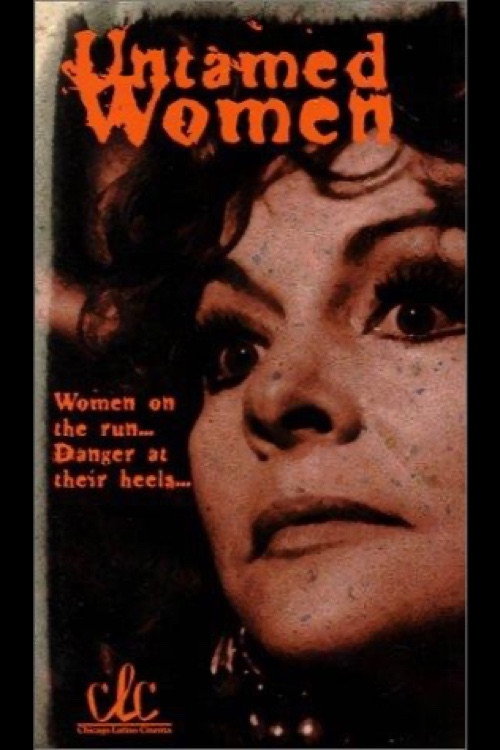 Mujeres insumisas poster