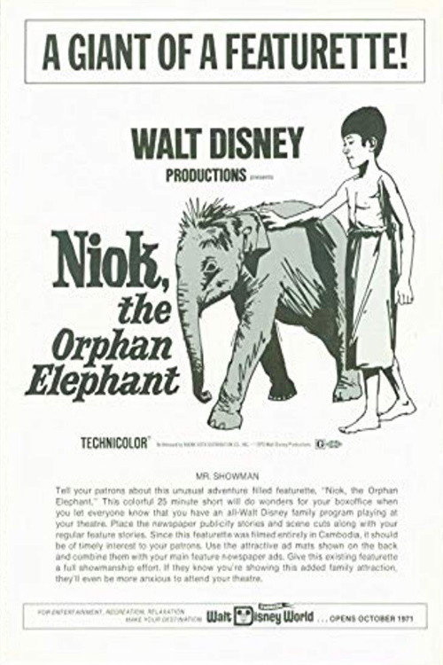 Niok poster