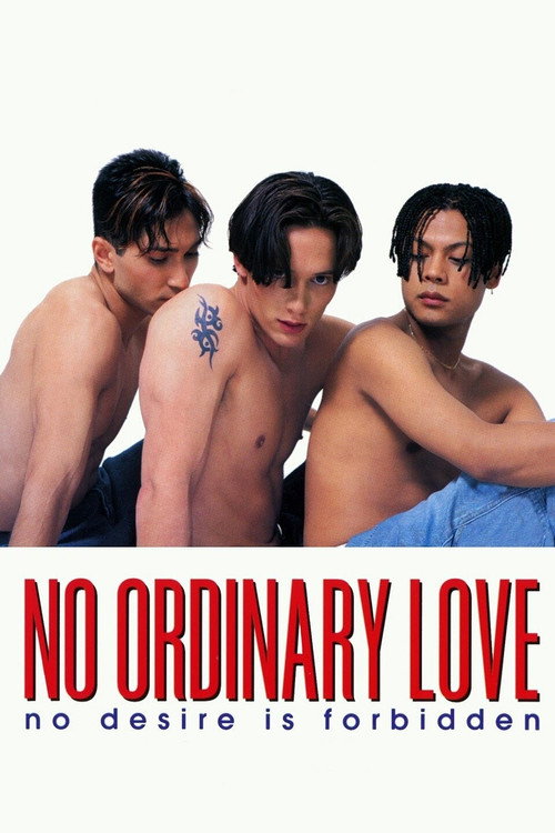 No Ordinary Love poster