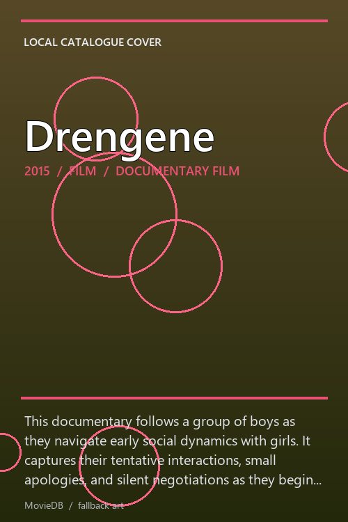 Drengene poster