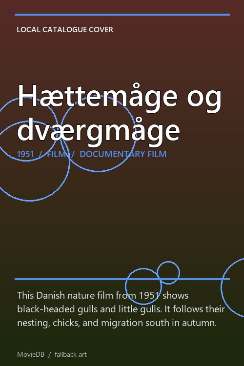 Hættemåge og dværgmåge poster