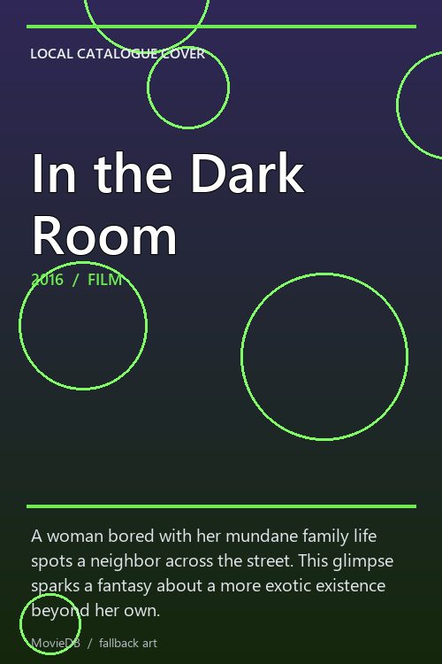 In the Dark Room poster