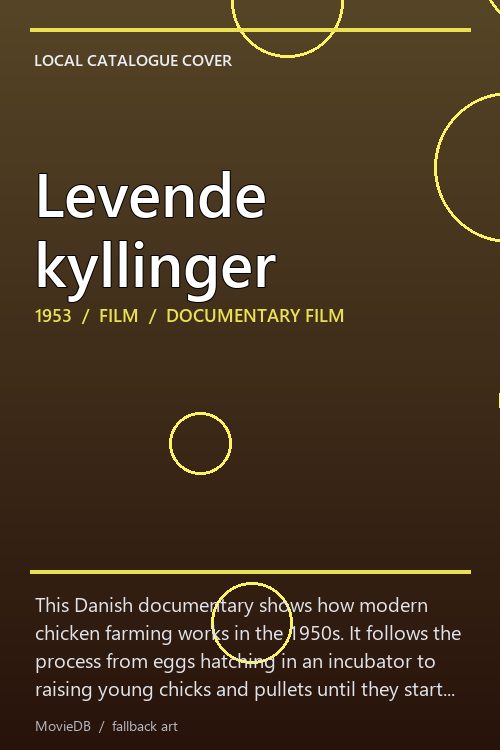 Levende kyllinger poster