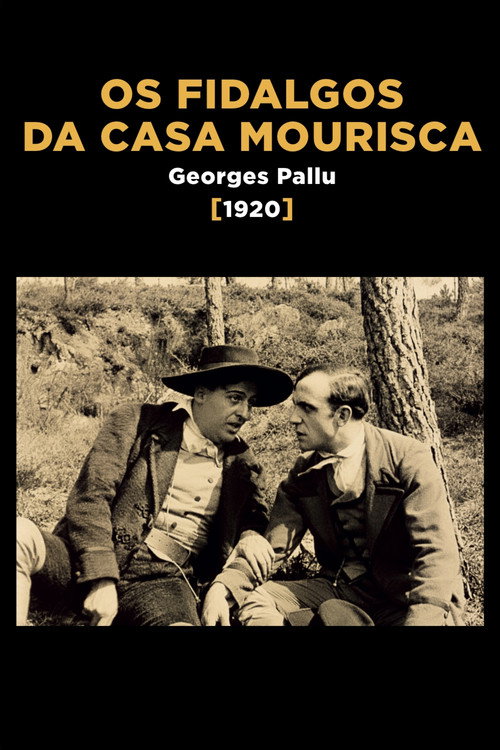 Os Fidalgos da Casa Mourisca poster
