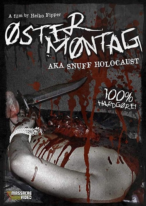 I Spit on Your Fucking Grave Bitch! poster
