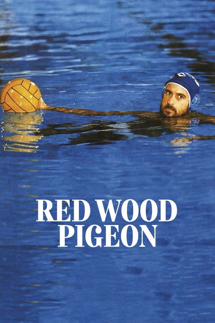 Red Wood Pigeon poster