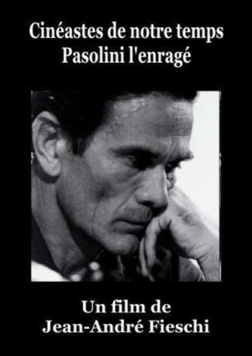 Pasolini l'enragé poster