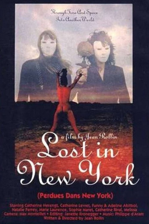 Perdues dans New York poster