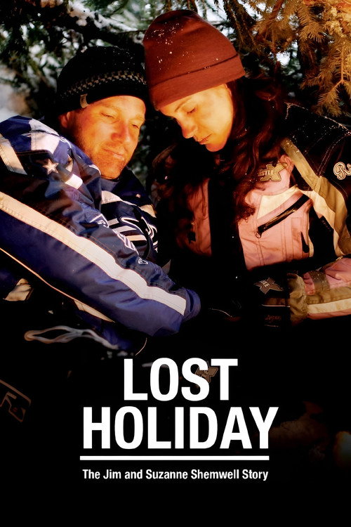 Lost Holiday poster