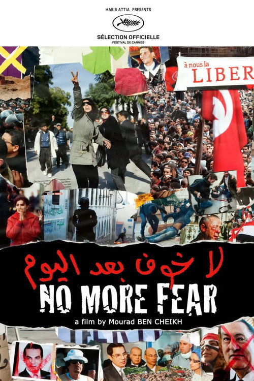 Fear No More poster