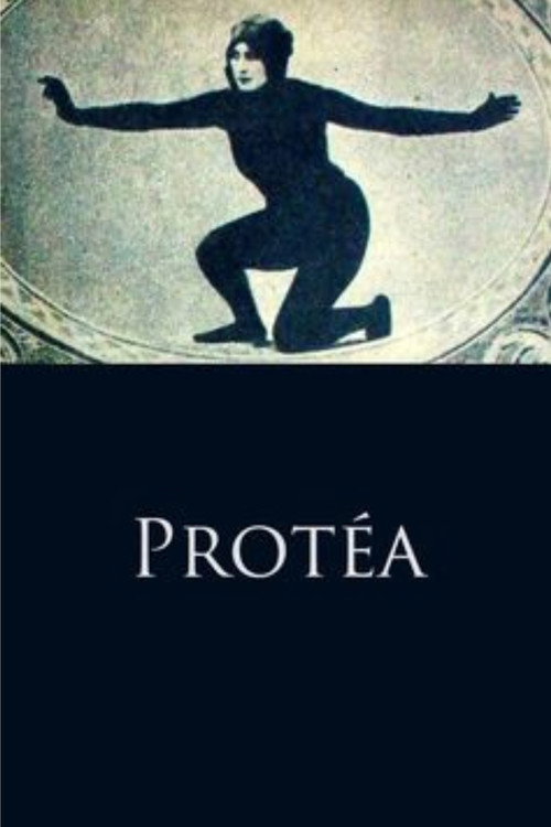 Protea poster