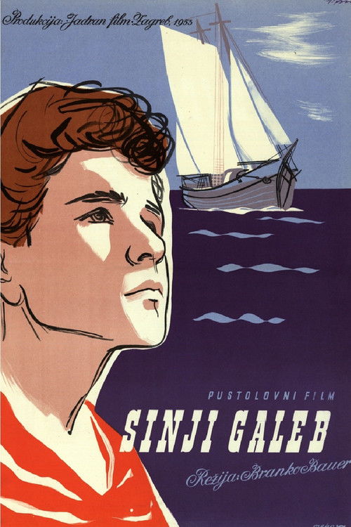 Sinji galeb poster
