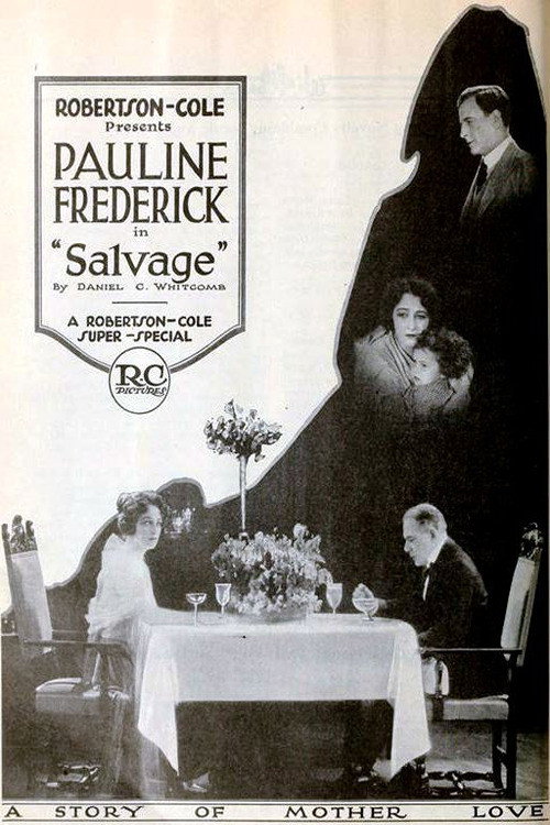 Salvage poster