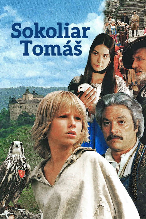 Thomas the Falconer poster