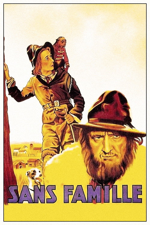 Sans famille poster