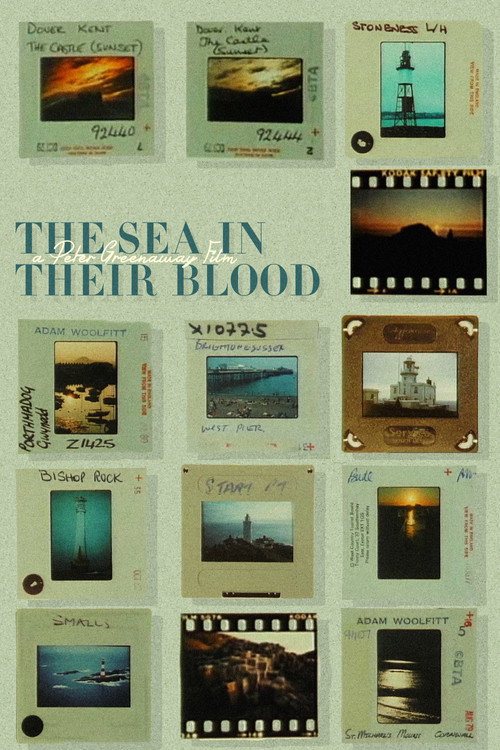 The Coastline poster