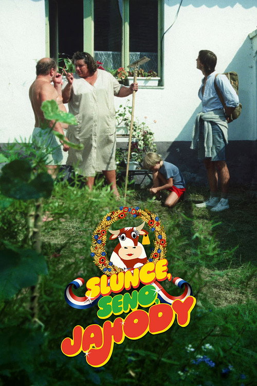 Slunce, seno, jahody poster