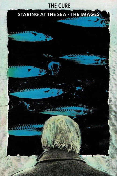 Staring at the Sea - The Images poster