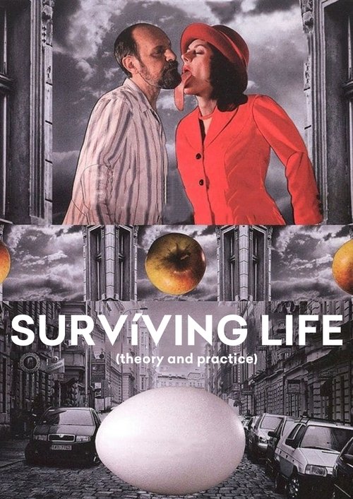 Surviving Life poster