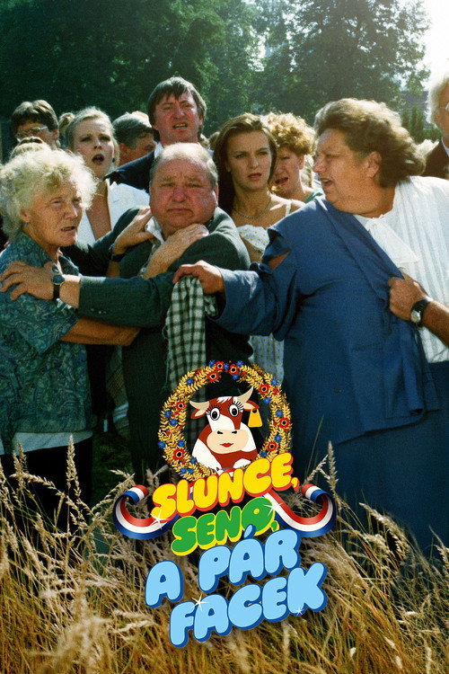 Slunce, seno a pár facek poster
