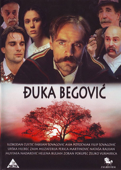 Đuka Begović poster