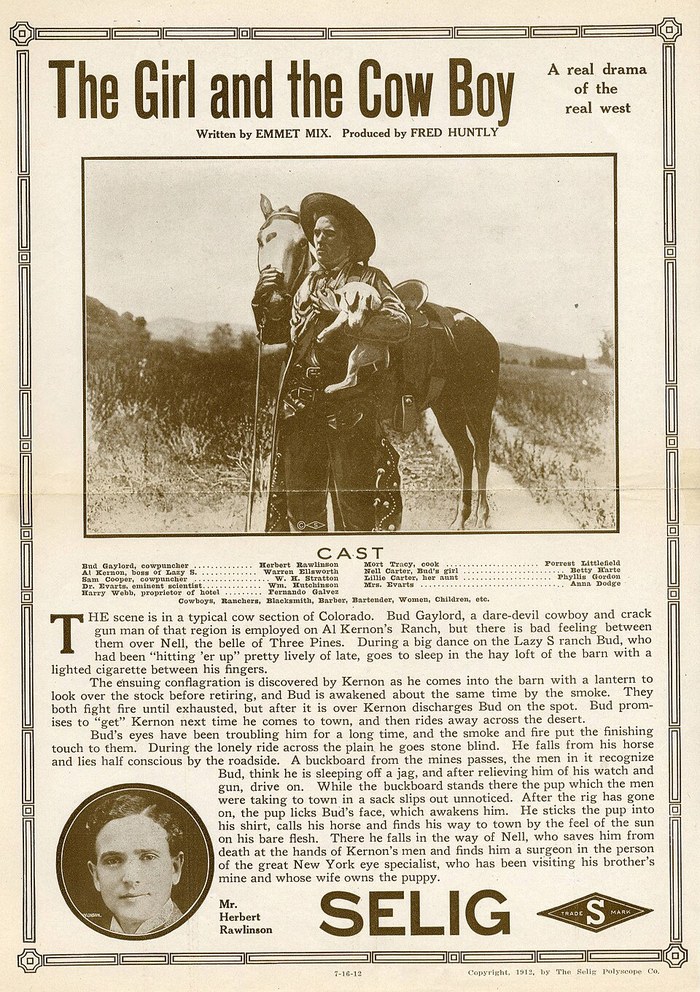 The Girl and the Cowboy poster
