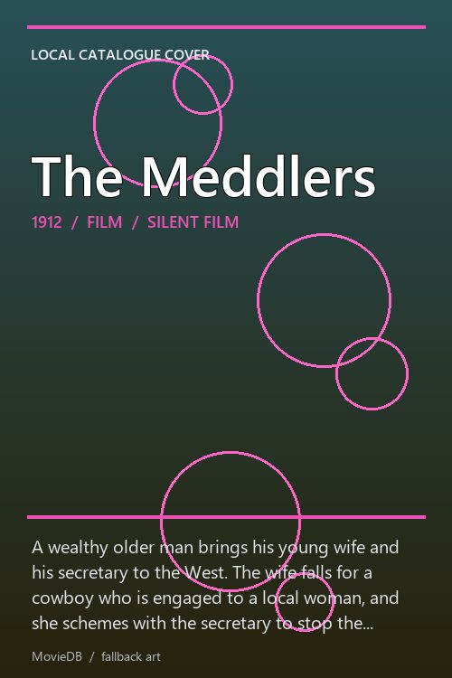 The Meddlers poster