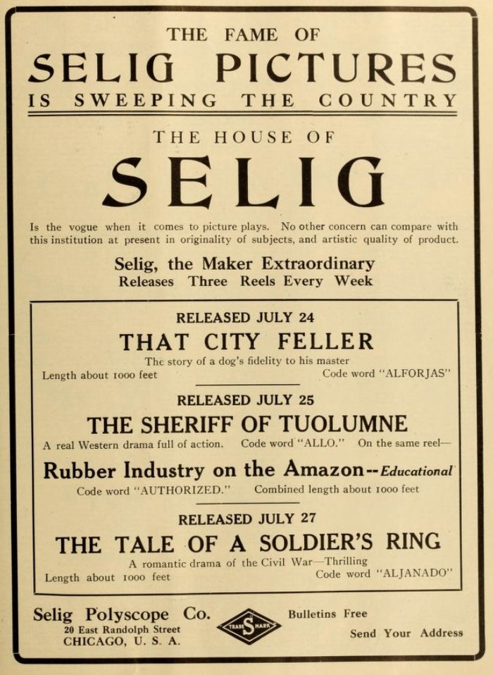 The Sheriff of Tuolumne poster