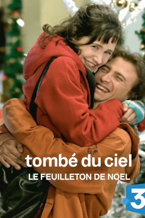 Fell From the Sky poster