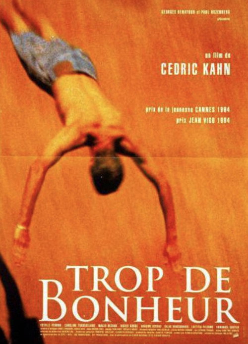 Trop de bonheur poster