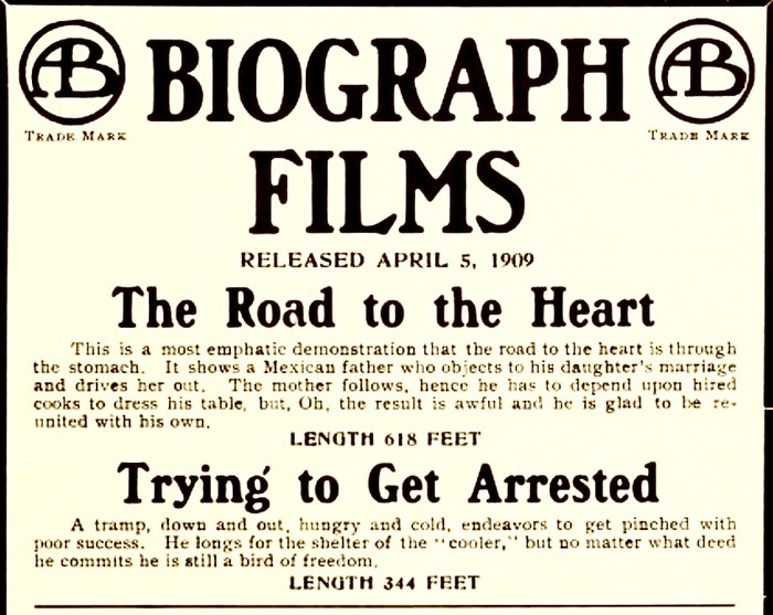 Trying to Get Arrested poster